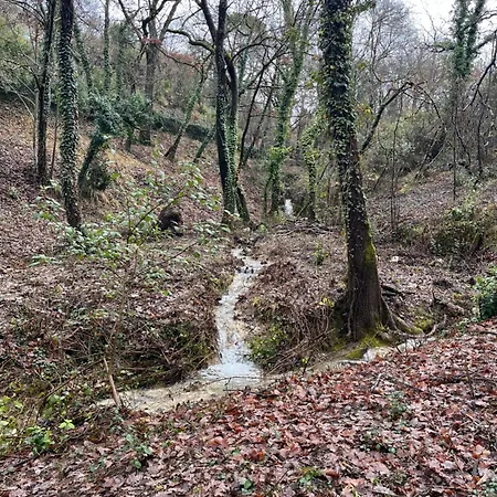 Mas Ancien Dans La Nature, Piscine Privee, Chauffe De Mois D'avril *